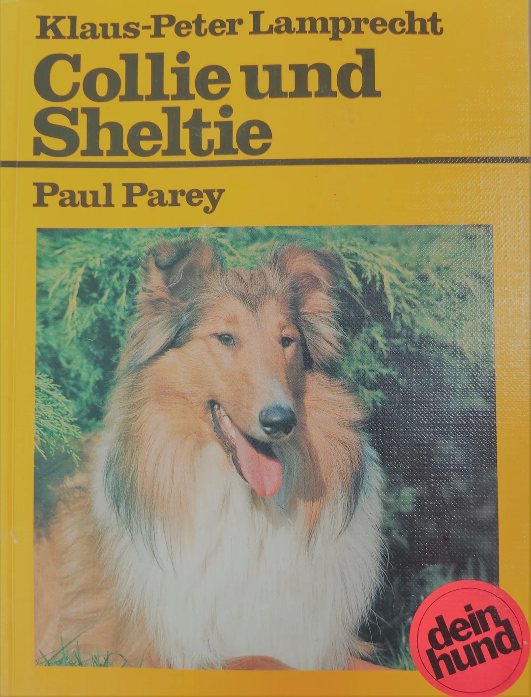 Buch 