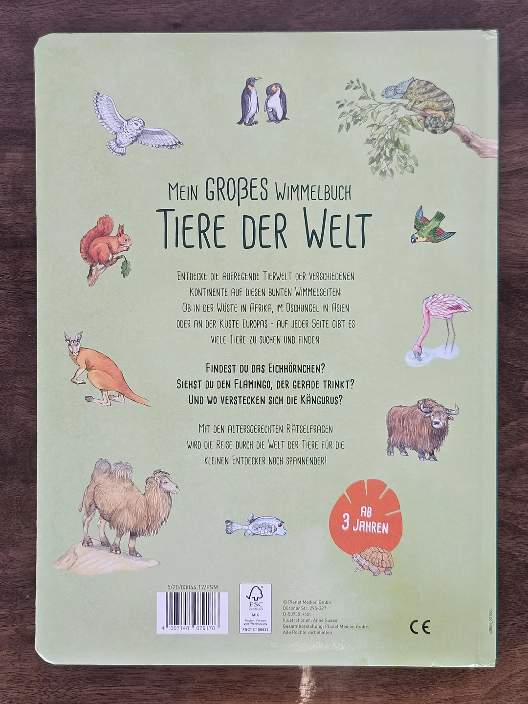 Mein großes Wimmelbuch Tiere der Welt - Anne Suess – Bild 2