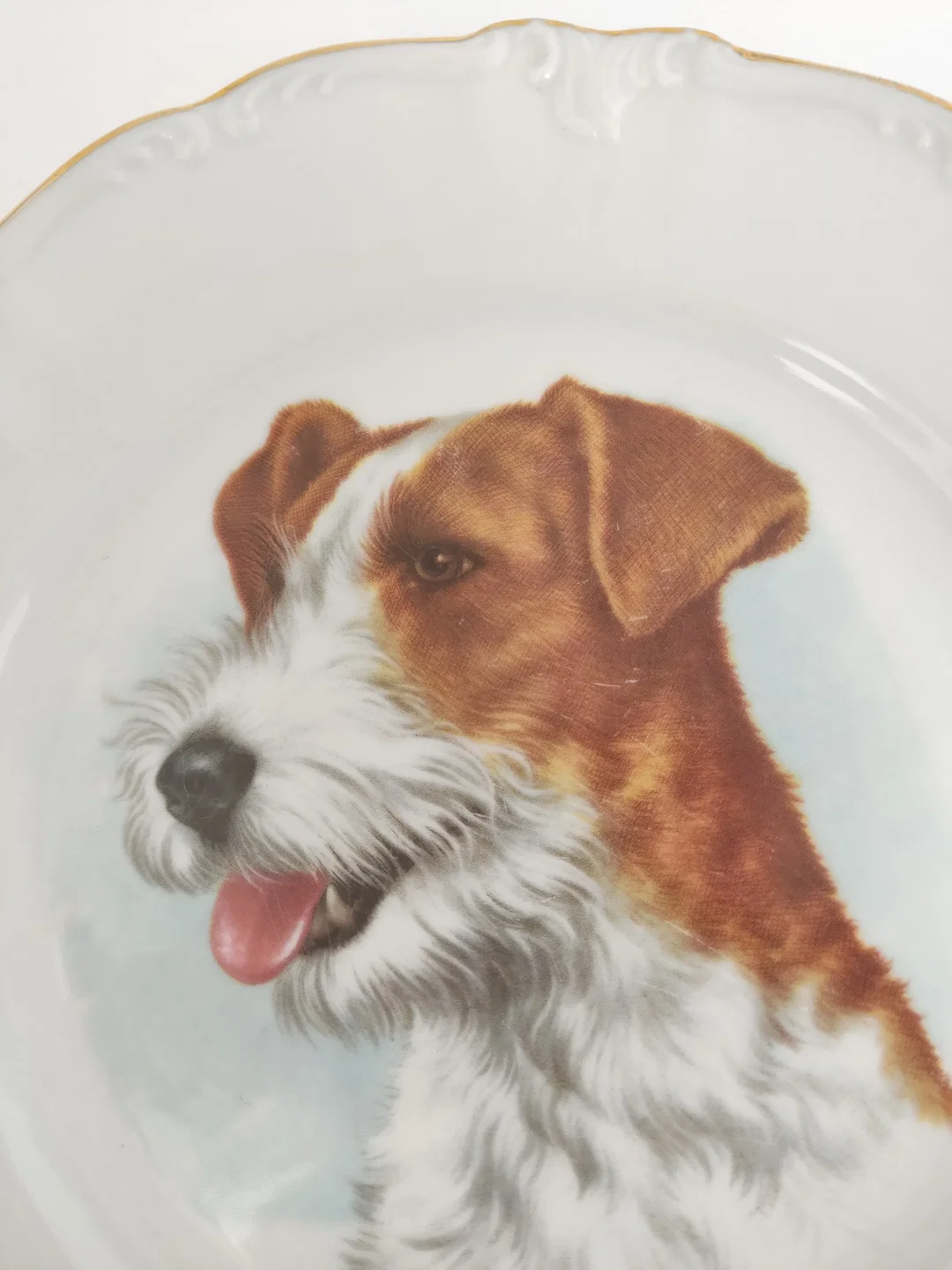 Zierteller "Hund" der Firma Winterling – Bild 2