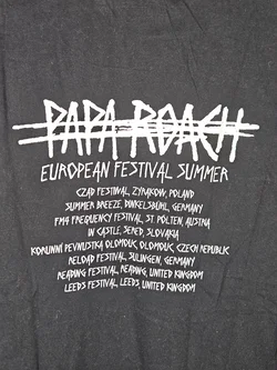 Papa Roach Herren Band T-Shirt, schwarz - Gr. S  - Bild 4