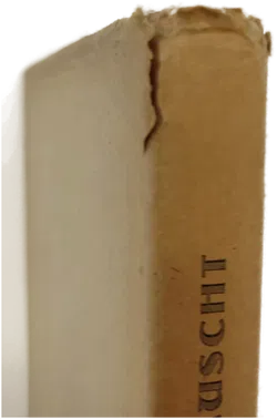 Heimgarten. Eine Monatsschrift. VIII. Jahrgang (komplett) – Peter Rosegger 1884 - Bild 2