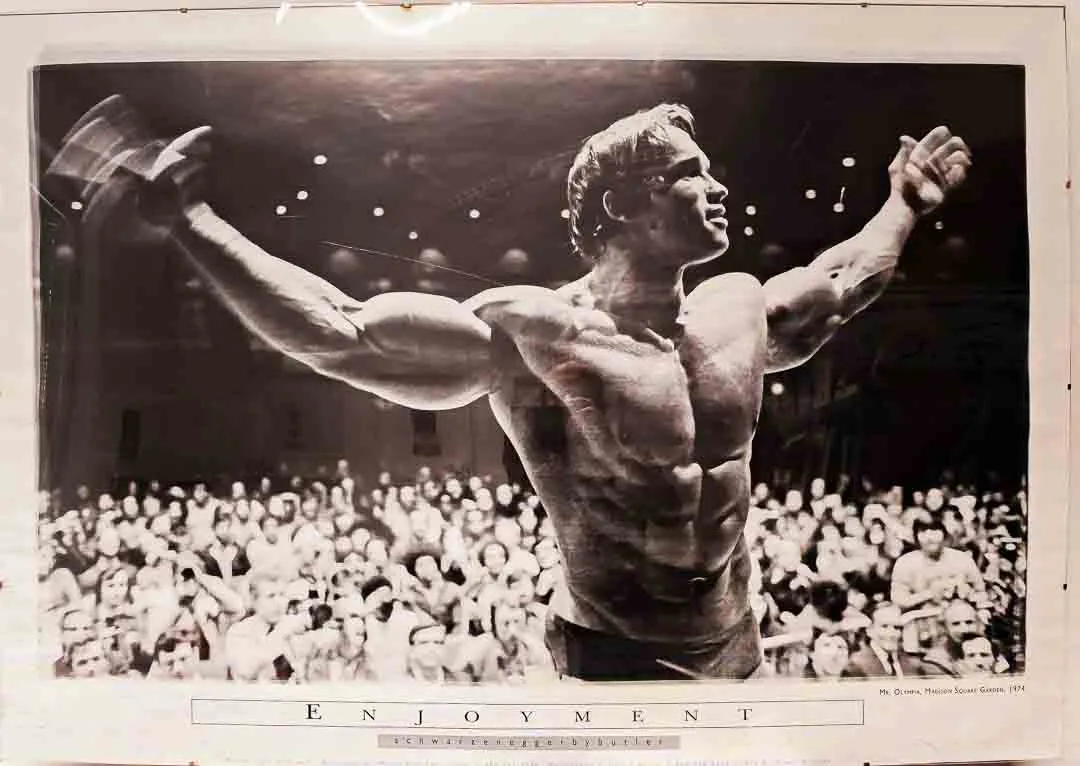 Großes Arnold Schwarzenegger Poster „Enjoyment“ 100x70 – 1974 Vintage Original - Bild 1