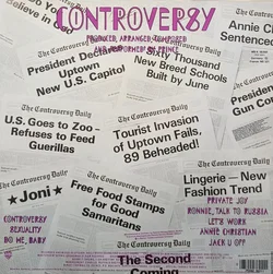LP Vinyl Prince "Controversy" – Vorschau 2
