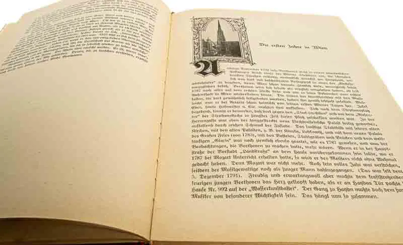 Beethoven - Theodor von Frimmel 6. Auflage 1922 antiquarisch – Bild 2