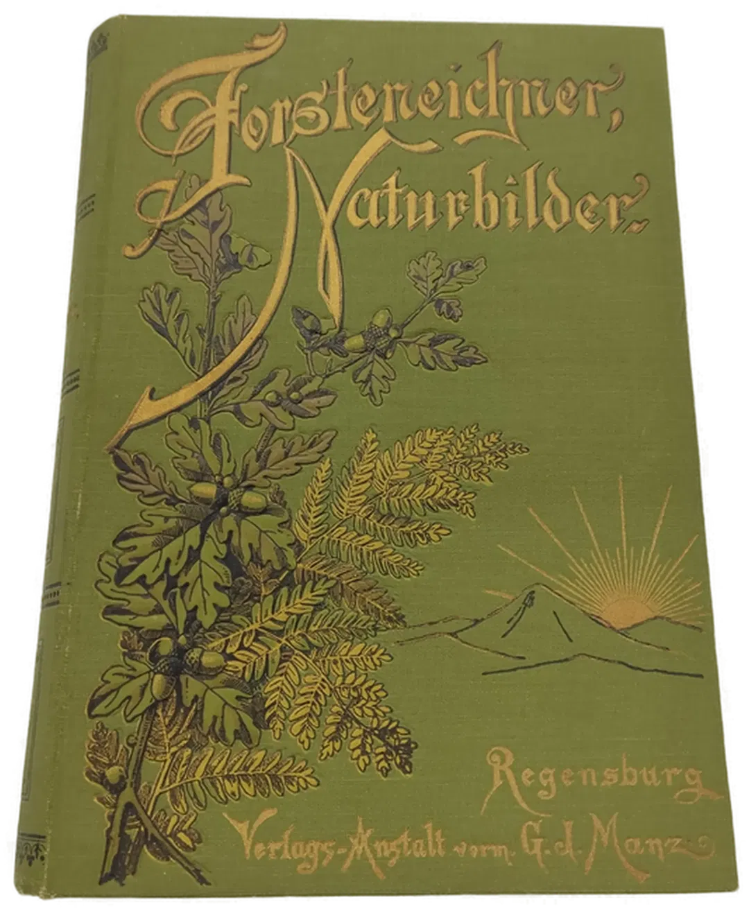 Altes Buch Forsteneichner Naturbilder - Bild 2