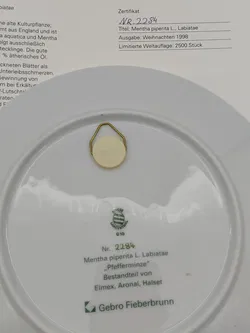 Suisse Langenthal Gebro Fieberbrunn Wandteller Nr. 2284 - Bild 2