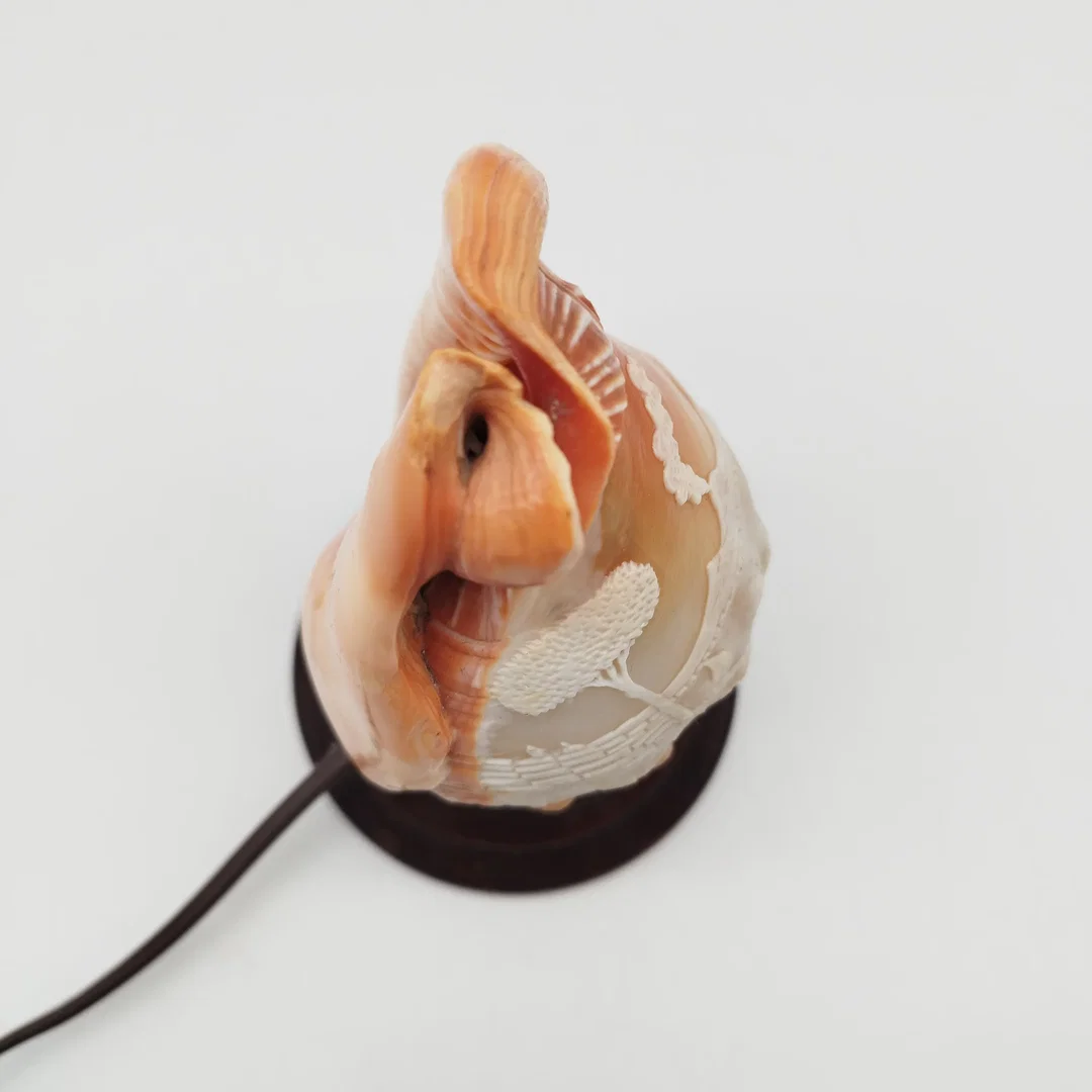 Antike italienische Muschellampe / Cameo-Shell-Akzentlampe – ca. 1920er Jahre – Bild 6
