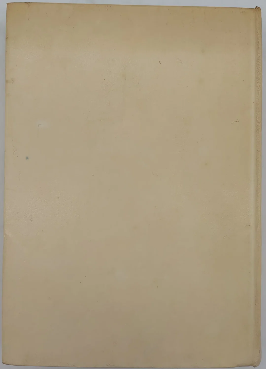 Kommt kochen! - Das Buch für Erwachsene und Kinder - Elisabeth Mayer-Brown - FRICK – Bild 2