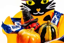 Schale aus einer echten Vinylschallplatte Modell 