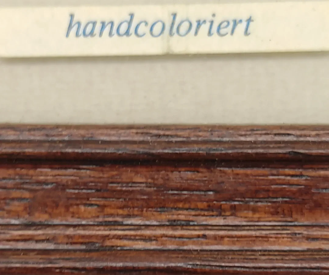 Trachten aus Österreich nach antiken Stichen handcoloriert - 3 Stück – Bild 3