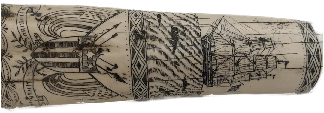 Walroßzahn Replikat mit „Scrimshaw“-Technik-Gravur  – Bild 2