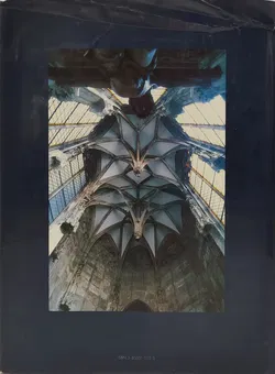 St. Stephan in Wien - Der Dom Lebt- Franz Hubmann, Rupert Feuchtmüller - Bild 2