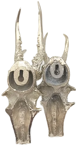 Rehbockgeweihe – Dekoratives Trophäenimitat - Bild 6