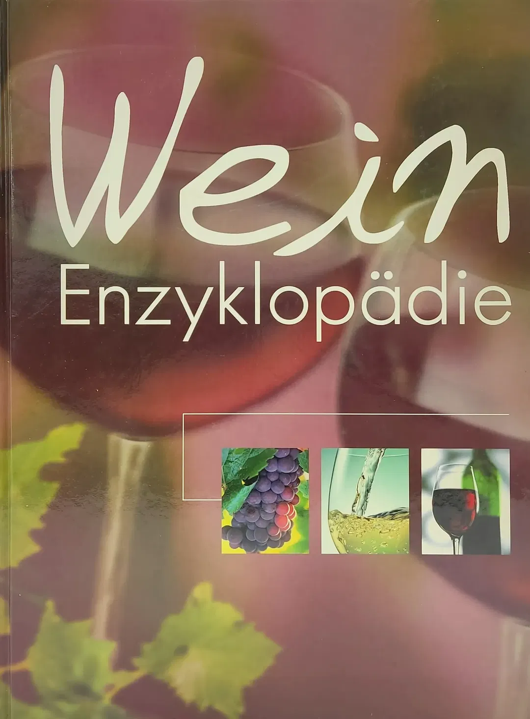 Wein Enzyklopädie  - Bild 2
