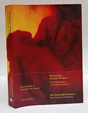 Transfigurations - Günter Bucher - Bild 1