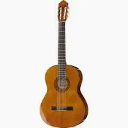 Yamaha C-40 Konzertgitarre e-Saite beschädigt - Bild 1