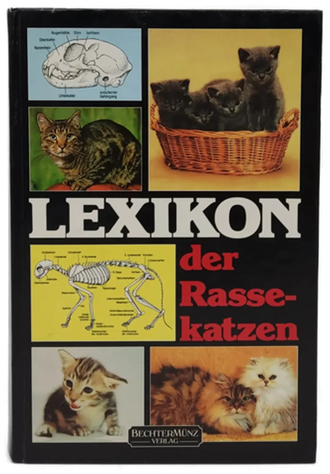 Lexikon der Rassekatzen - Claudia Müller-Girard - Bild 2