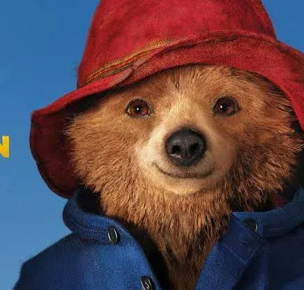 Paddington DVD - Bild 1