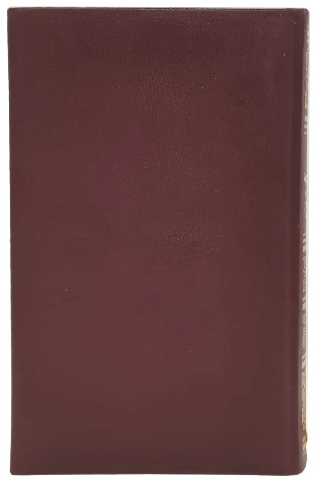 Buch "Die Bibel - Die ganze Heilige Schrift des Alten und Neuen Testaments" – Bild 2
