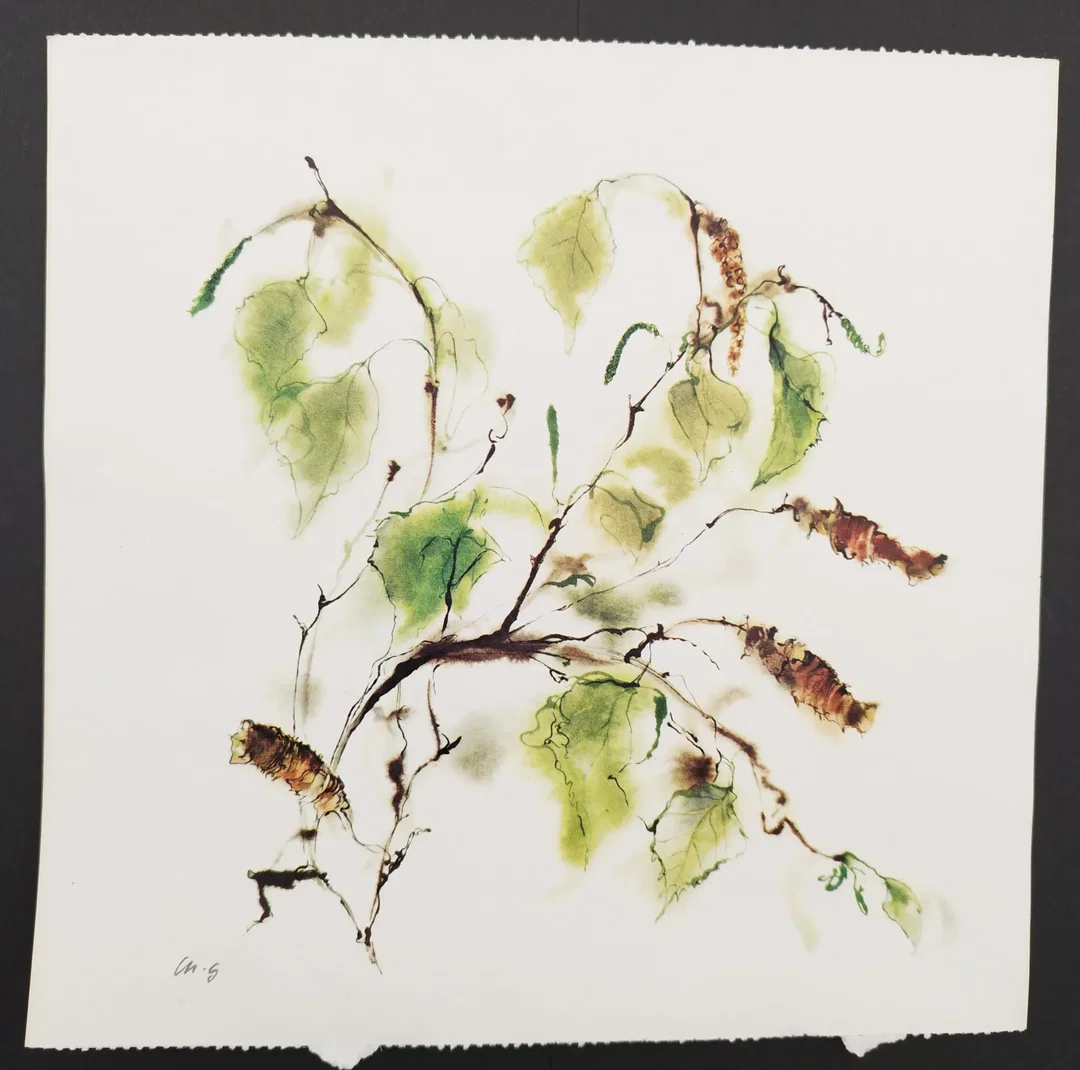 Ellen Gibis: Blumenillustration - KOPIE - Bild 1