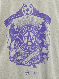 Austria Wien Fanshirt Herren, grau - Gr. L – Vorschau 4