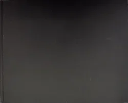 MAN. Ein Jahrhundert - Henning Stibbe, Matthias Georgi - Bild 2