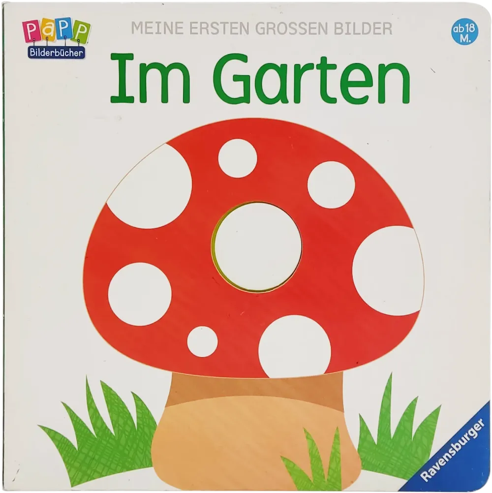 Buch 