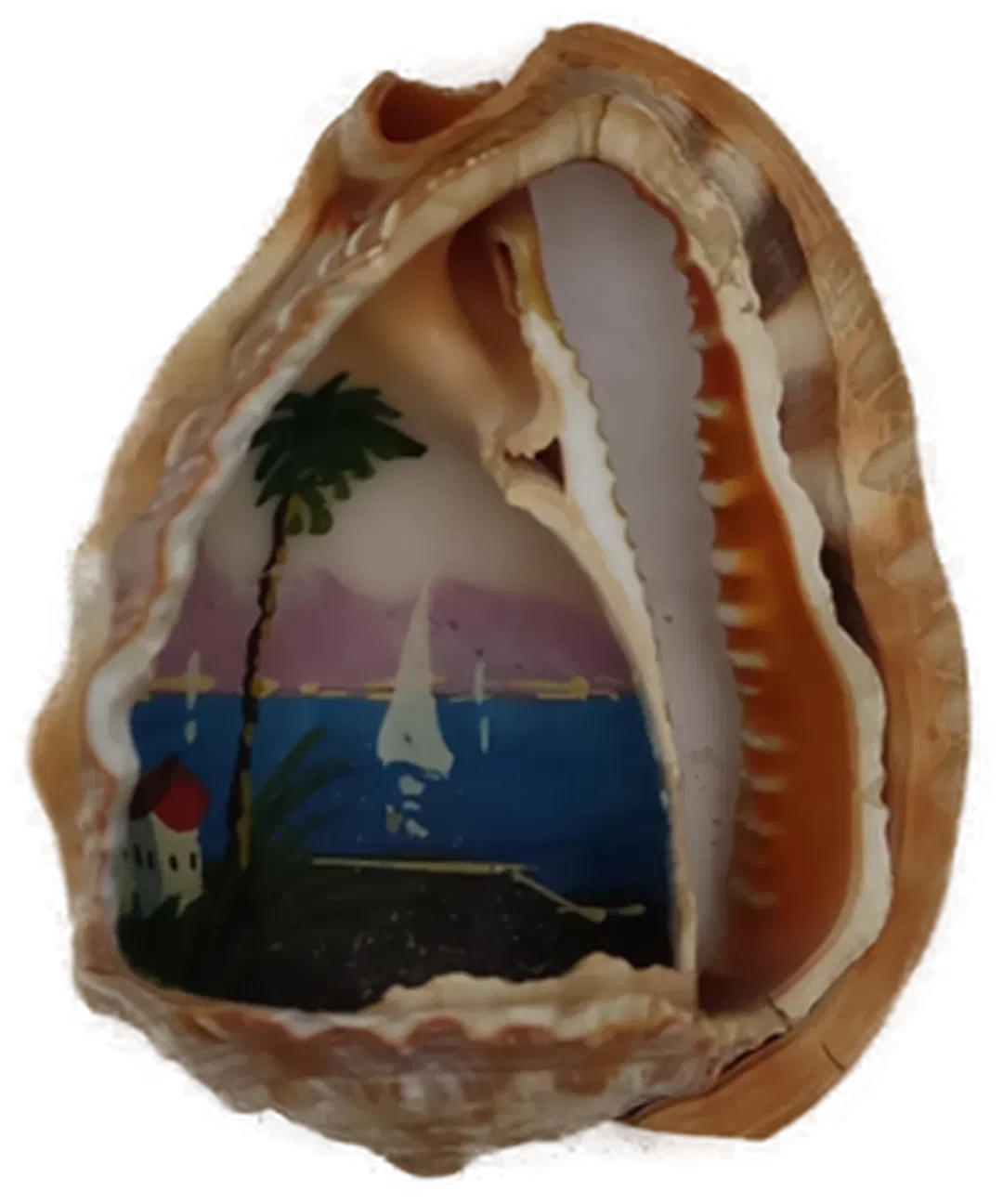 Handbemalte Muschel - Bild 4