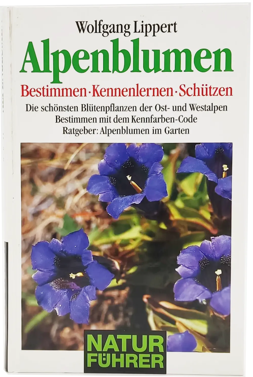 Buch 