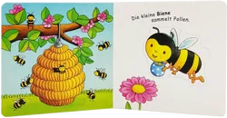 Buch 