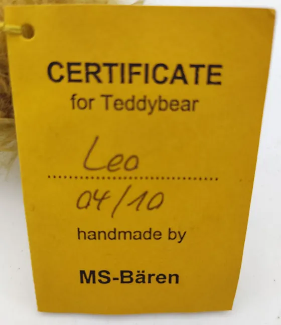 MS Bären - Löwe Leo – Bild 3