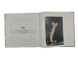 Naturgeheimnis Rheindelta - Bild 2