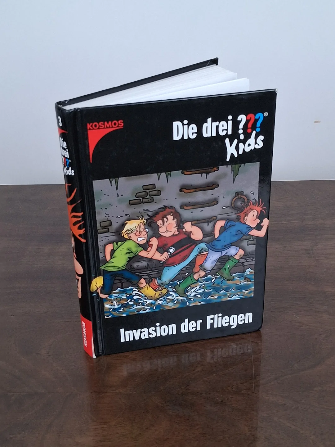 Die drei ??? Kids / Invasion der Fliegen - Ulf Blanck - Bild 2
