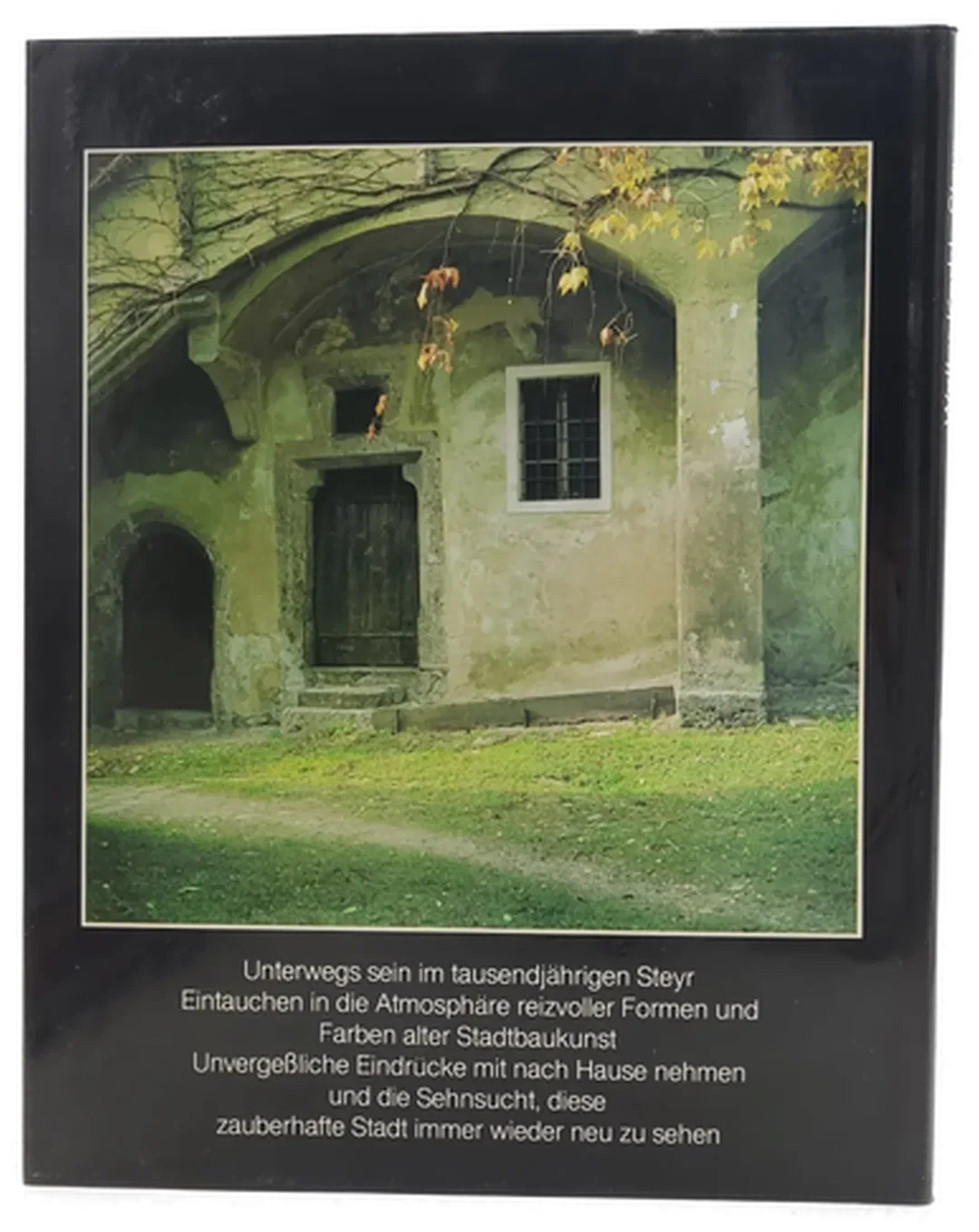 Buch "Steyr - Von der Schönheit einer tausend Jahre alten Stadt" von Walter Kerbl – Bild 2