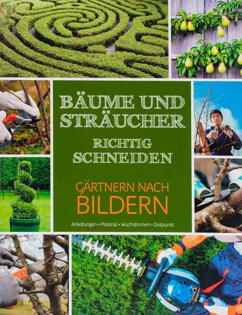 5 Bände Set – Gärtnern nach Bildern: Garten, Gemüse, Kräuter – Bild 3