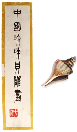 Chinesisches 3D-Reliefbild im Holzrahmen – Perlmutt Intarsien – Tempelmotiv – mit Originalverpackung - Bild 4