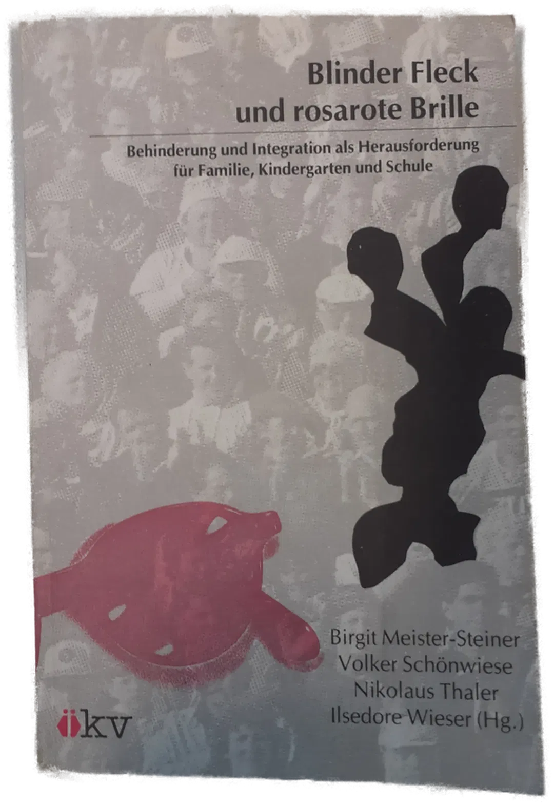 Buch Birgit Meister-Steiner 