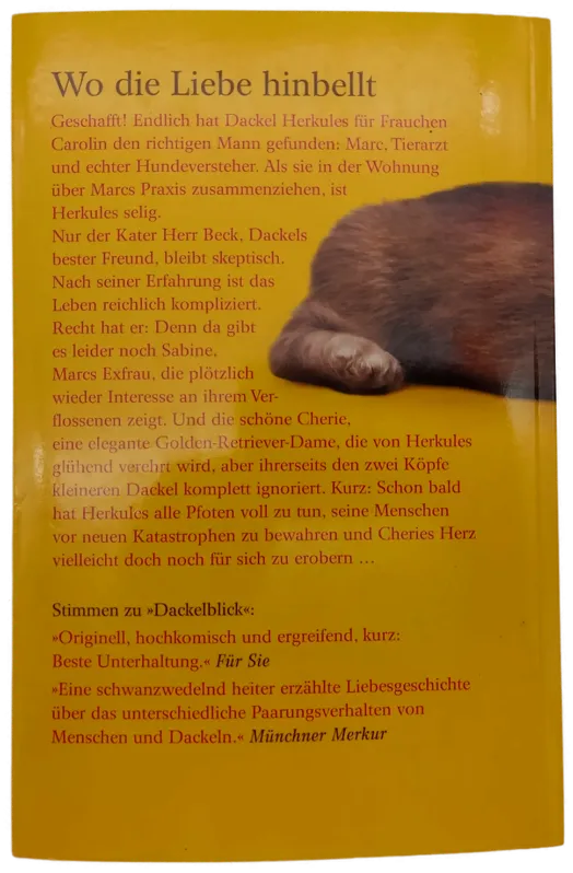 Katzen-jammer  – Bild 2