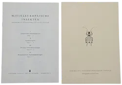 Mitteleuropäische Insekten - Anhangsweise Spinnentiere und Tausendfüssler - Erich Cramer - Bild 2