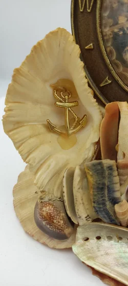 Tischdeko Aus Echten Muscheln | MIt Schönheitsfehler - Bild 3