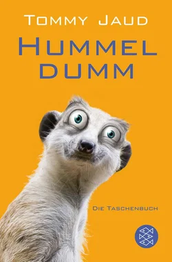 Hummeldumm - Tommy Jaud