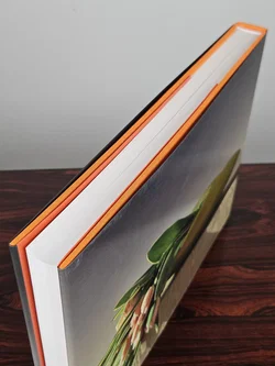 Mapplethorpe The Complete Flowers - Robert Mapplethorpe – Vorschau 3