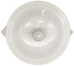 Haas & Czjzek - Löwenkopfterrine Vintage - Bild 3