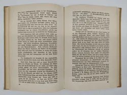 Brasilien als Asyl für Auswanderer deutscher Zunge - Bild 4