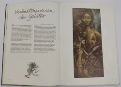 Buch Elfen, Goblins und Spukgestalten von Brian Froud und Alan Lee - Bild 4