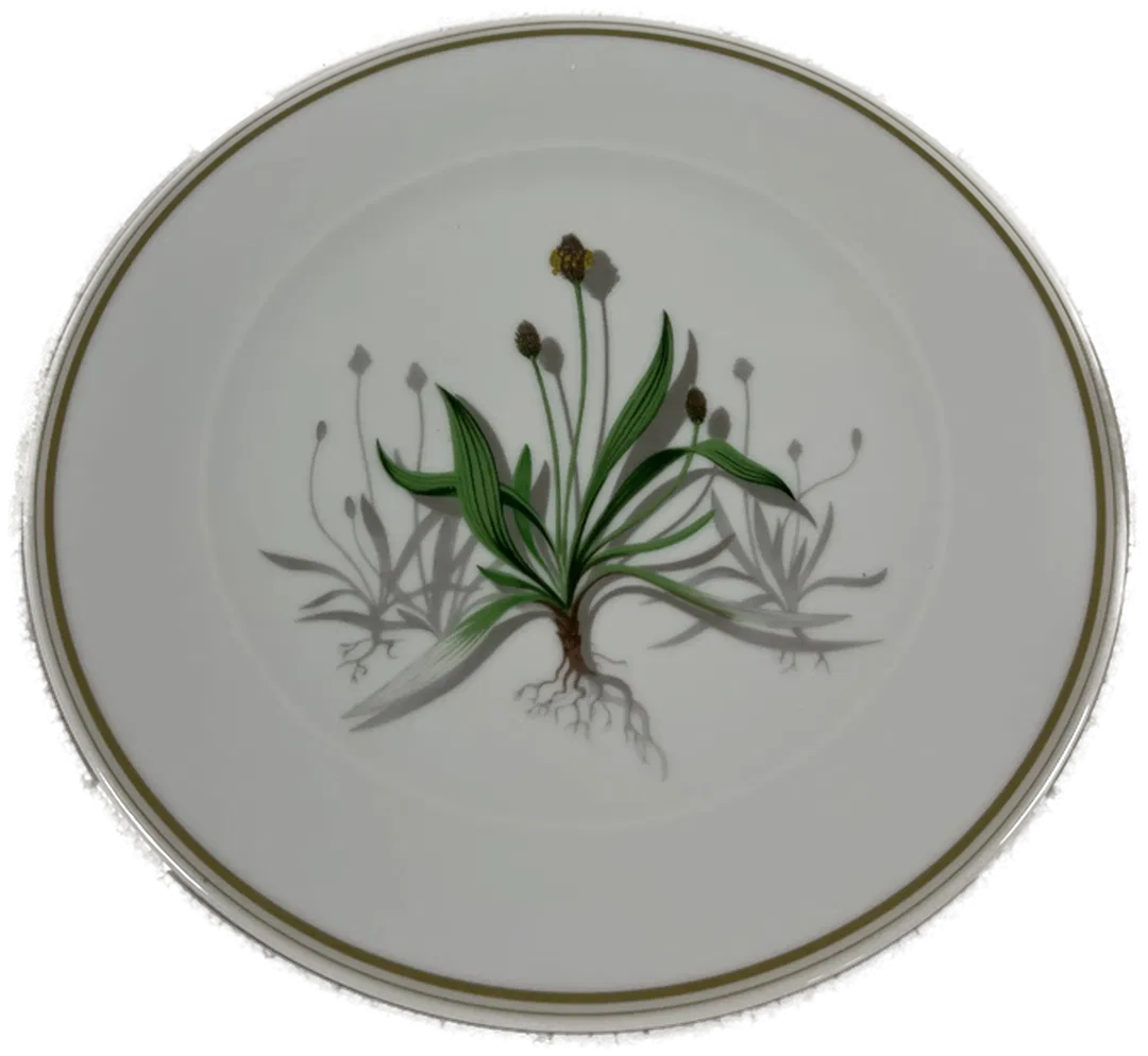 SUISSE LANGENTHAL Sammelteller Nr.2204 Weihnachten 2001 Spitzwegerich mit Zertifikat - Bild 1