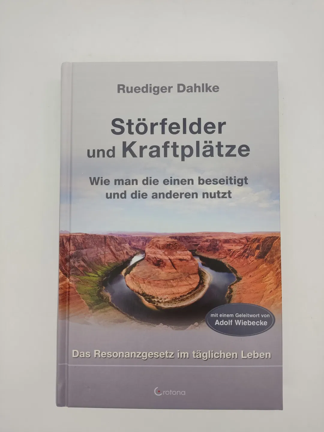 Störfelder und Kraftplätze - Ruediger Dahlke - Bild 2
