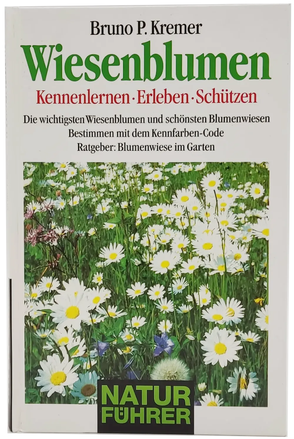 Buch 