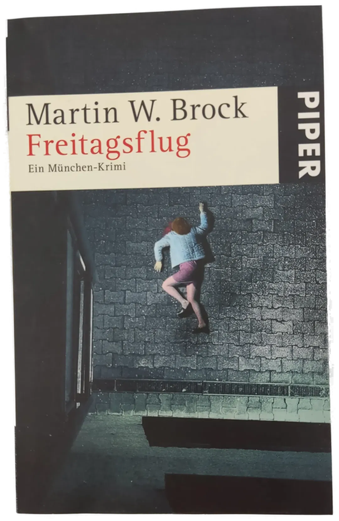Freitagsflug - Martin W Brock - Bild 1