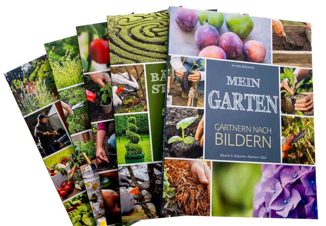 5 Bände Set – Gärtnern nach Bildern: Garten, Gemüse, Kräuter - Bild 1